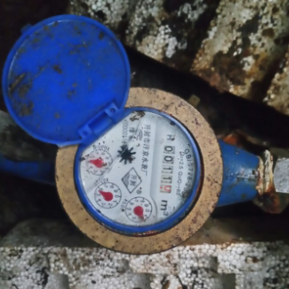 上海地區(qū)不銹鋼水表的發(fā)展歷程與未來趨勢(shì)